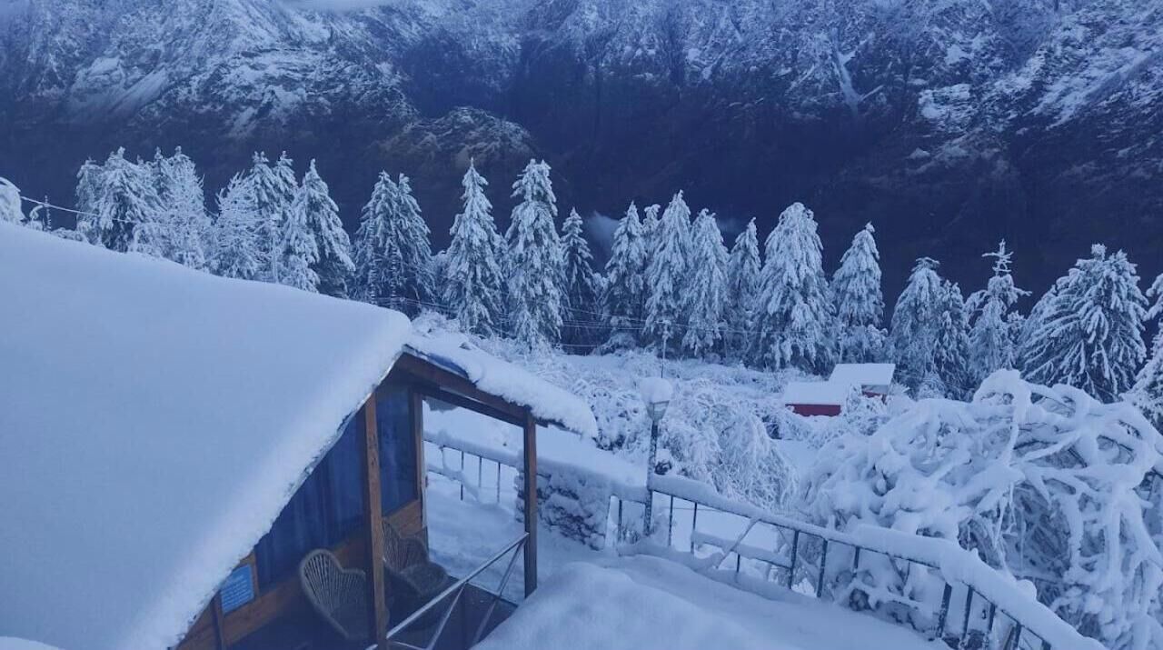 Photo of Bedroom in Auli