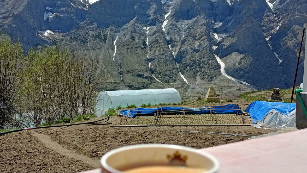 Photo of Outdoor in Keylong
