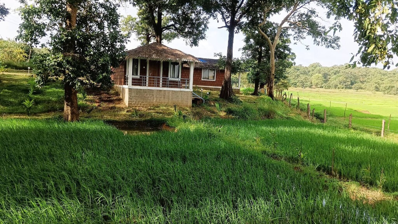Photo of Outdoor in Timbholi
