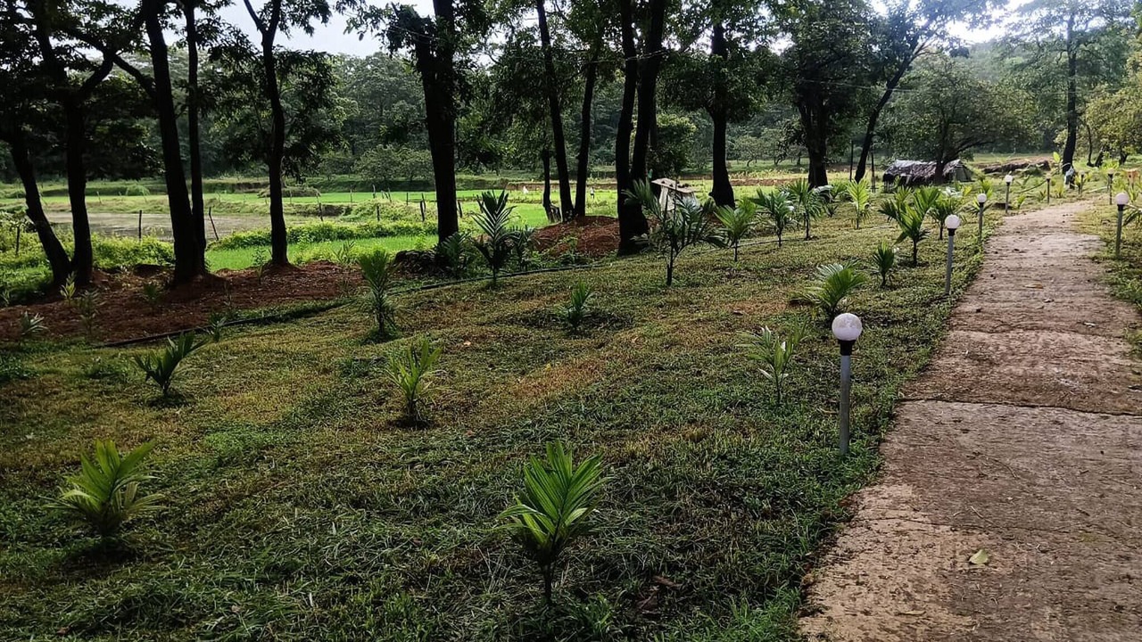 Photo of Outdoor in Timbholi