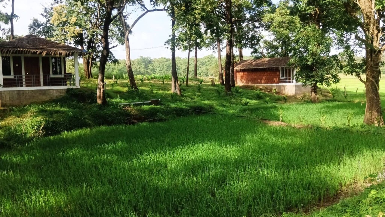 Photo of Outdoor in Timbholi