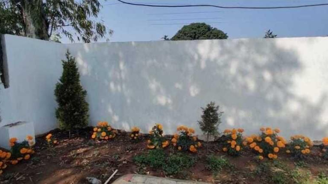 Photo of Outdoor in Chandigarh