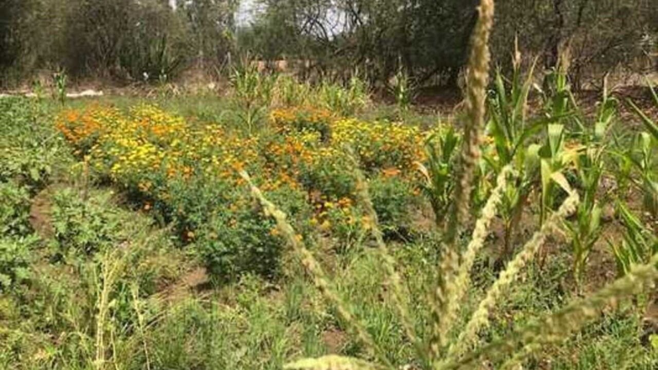Photo of Outdoor in Wadgaon