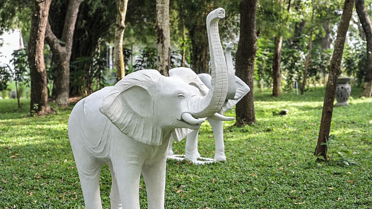 Photo of Outdoor in Kanakanahalli