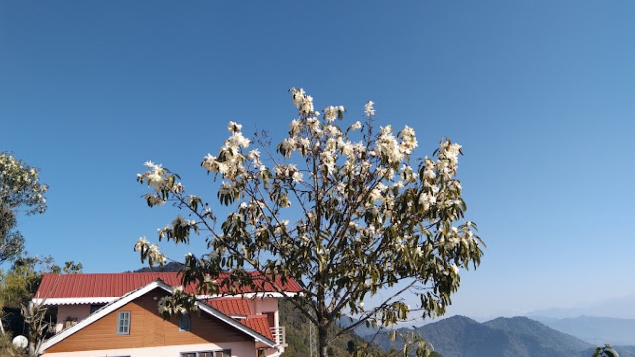Photo of Outdoor in Turuk