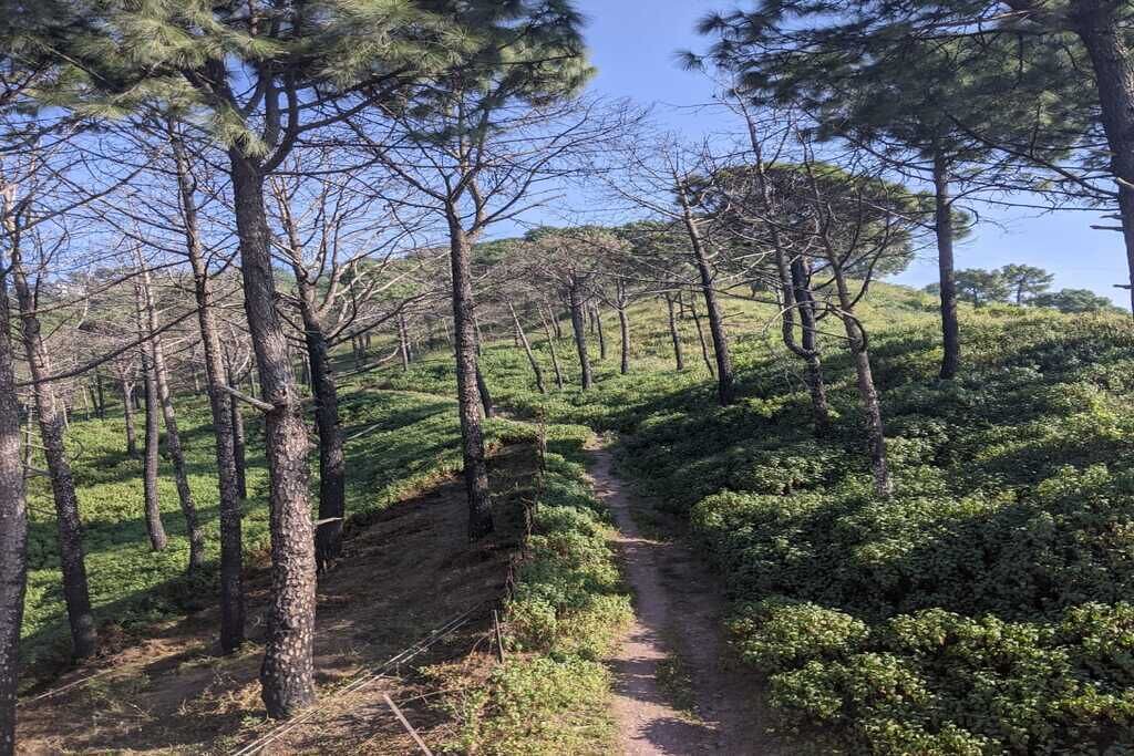 Photo of Outdoor in Nahan