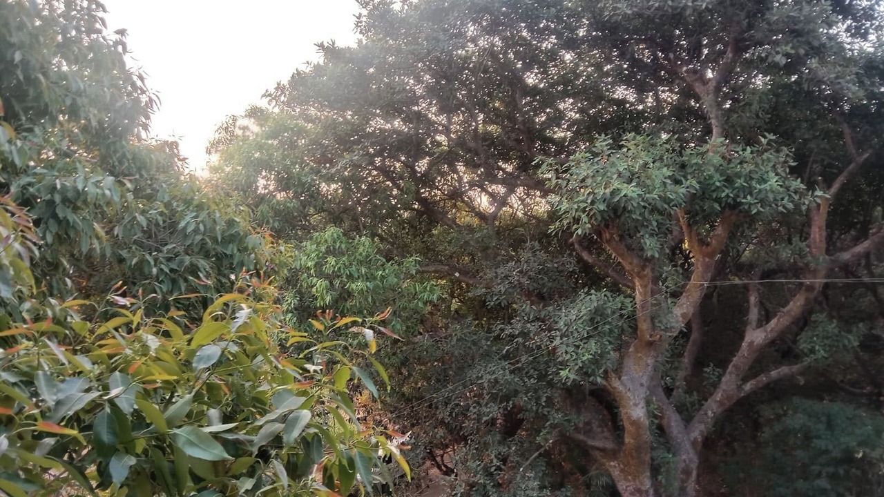 Photo of Outdoor in Gureghar
