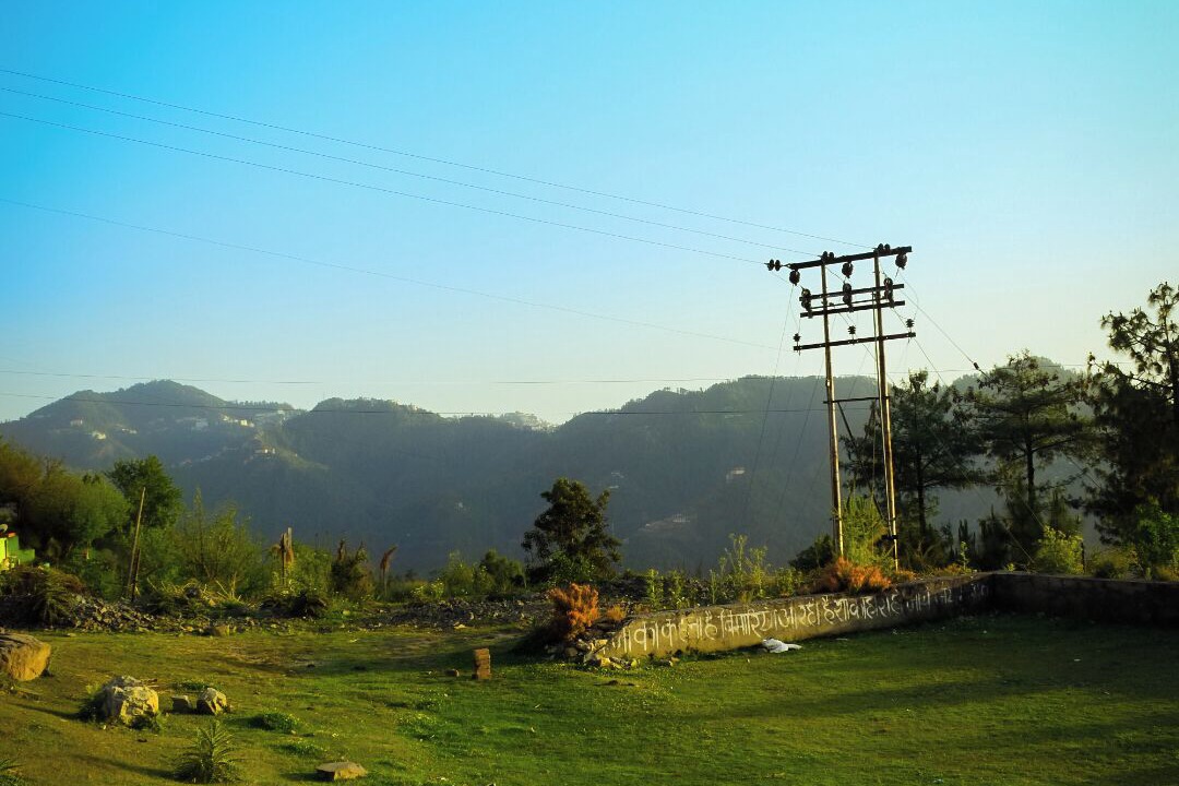 Photo of Others in Shimla
