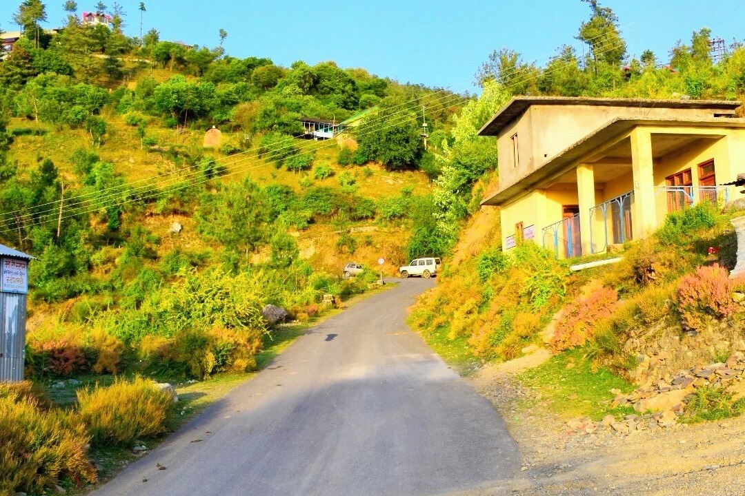 Photo of Others in Shimla