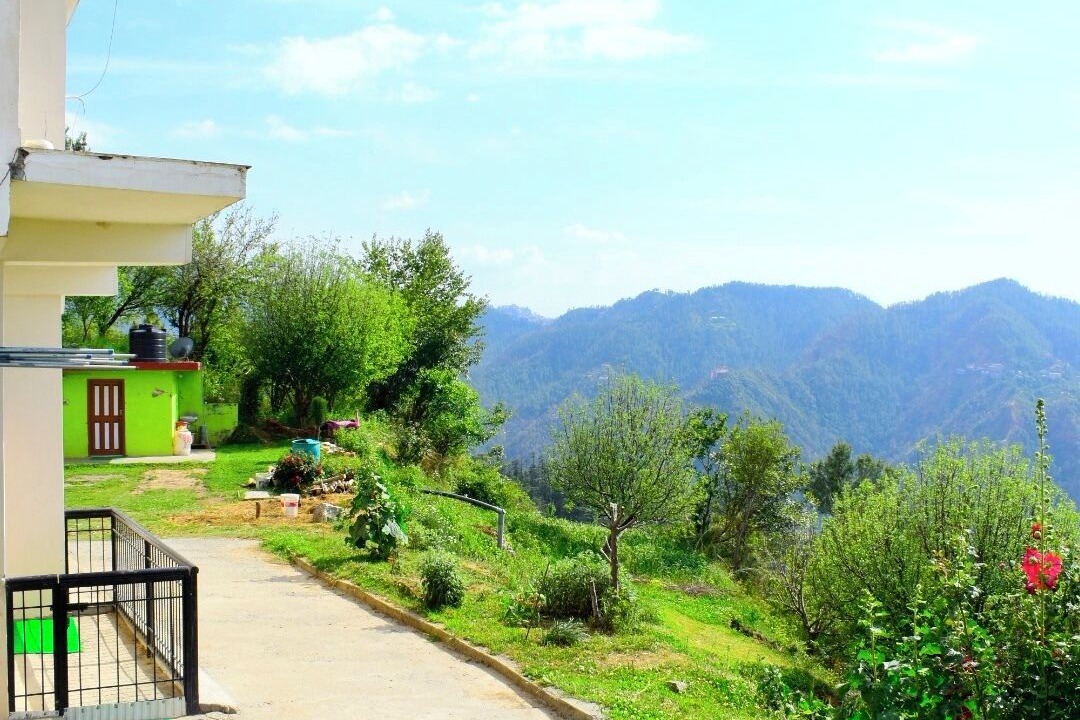 Photo of Others in Shimla