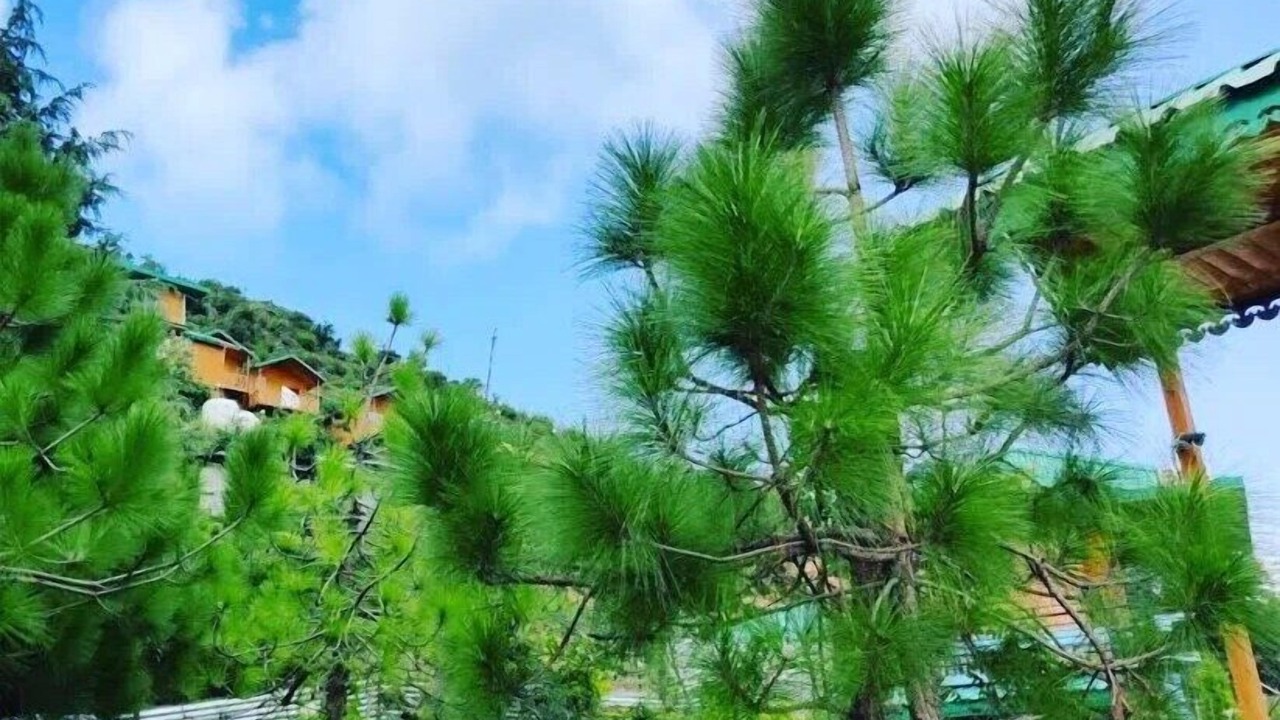Photo of Outdoor in Kumarhatti