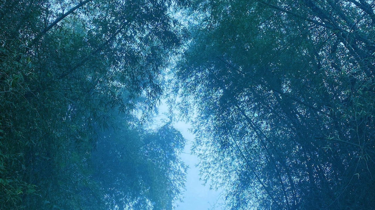 Photo of Outdoor in Kattikkulam