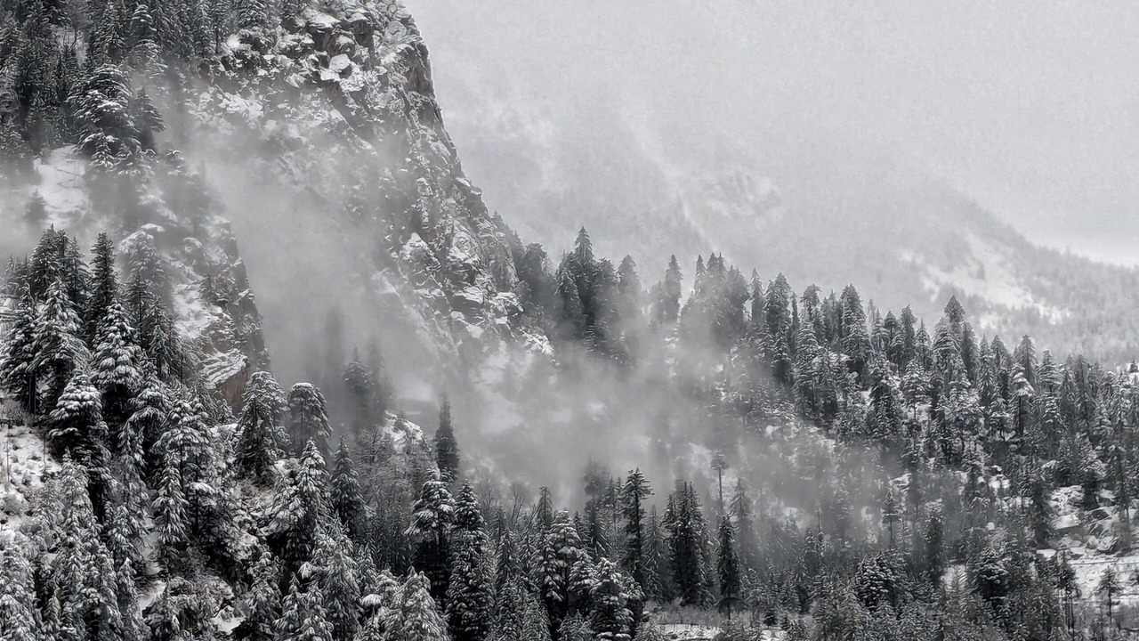 Photo of Outdoor in Sangla