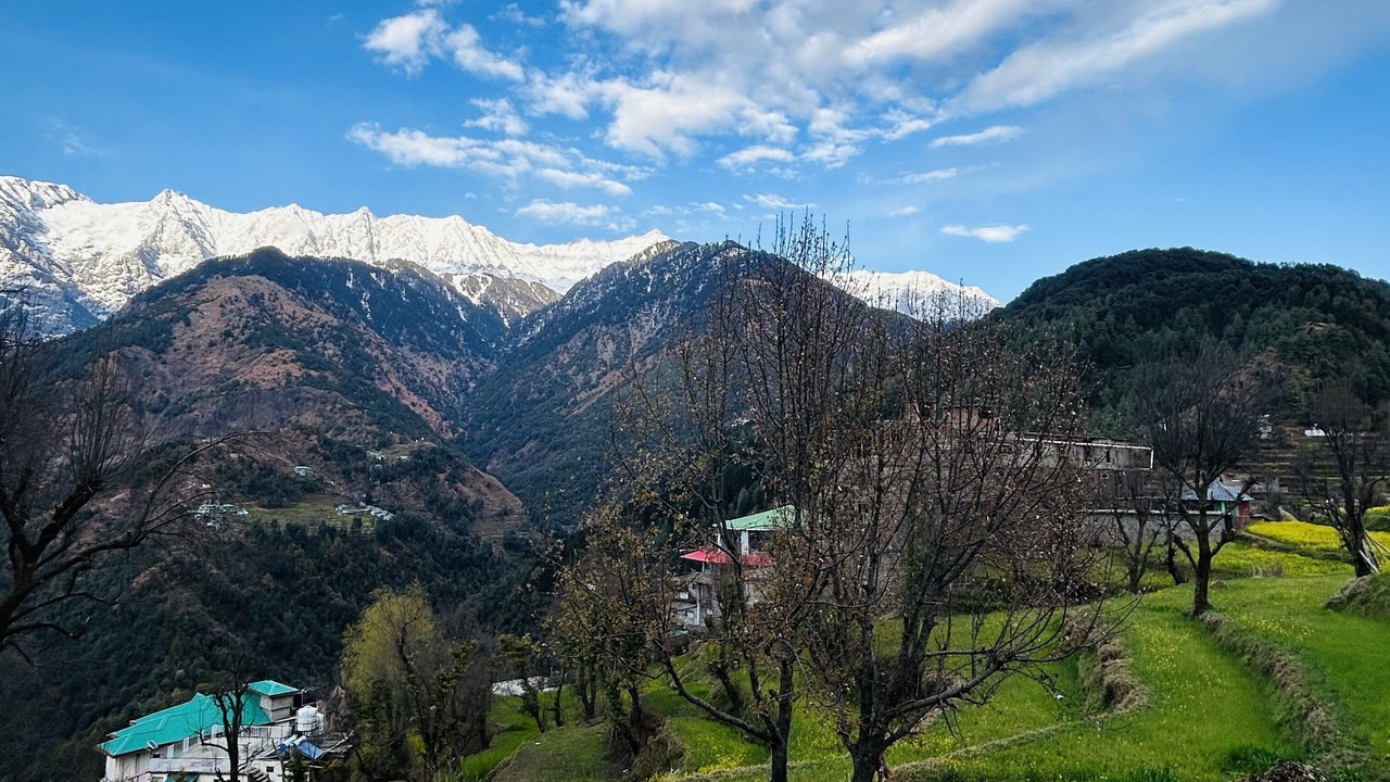 Photo of Others in Dharamshala