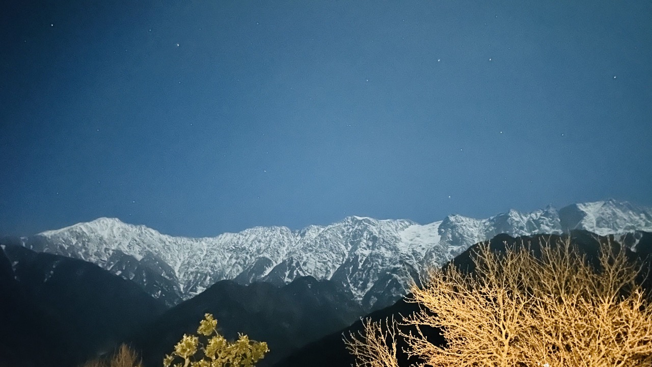 Photo of Others in Dharamshala