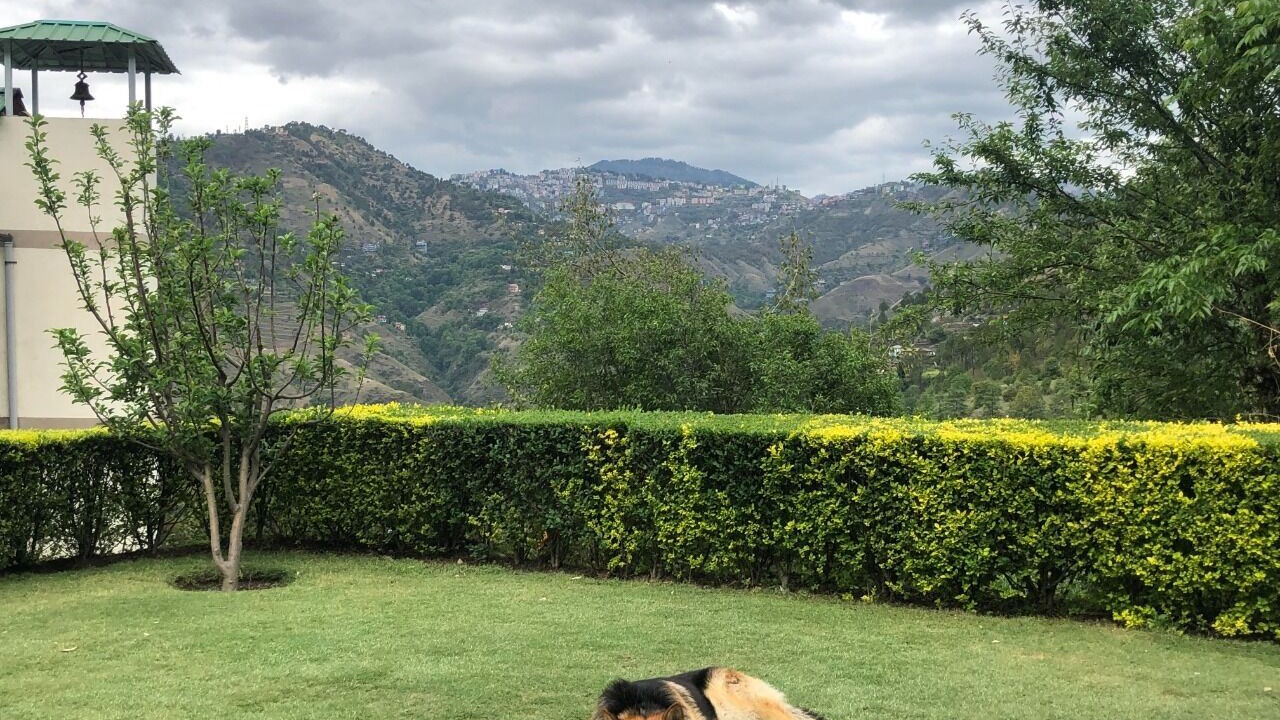 Photo of Outdoor in Junga