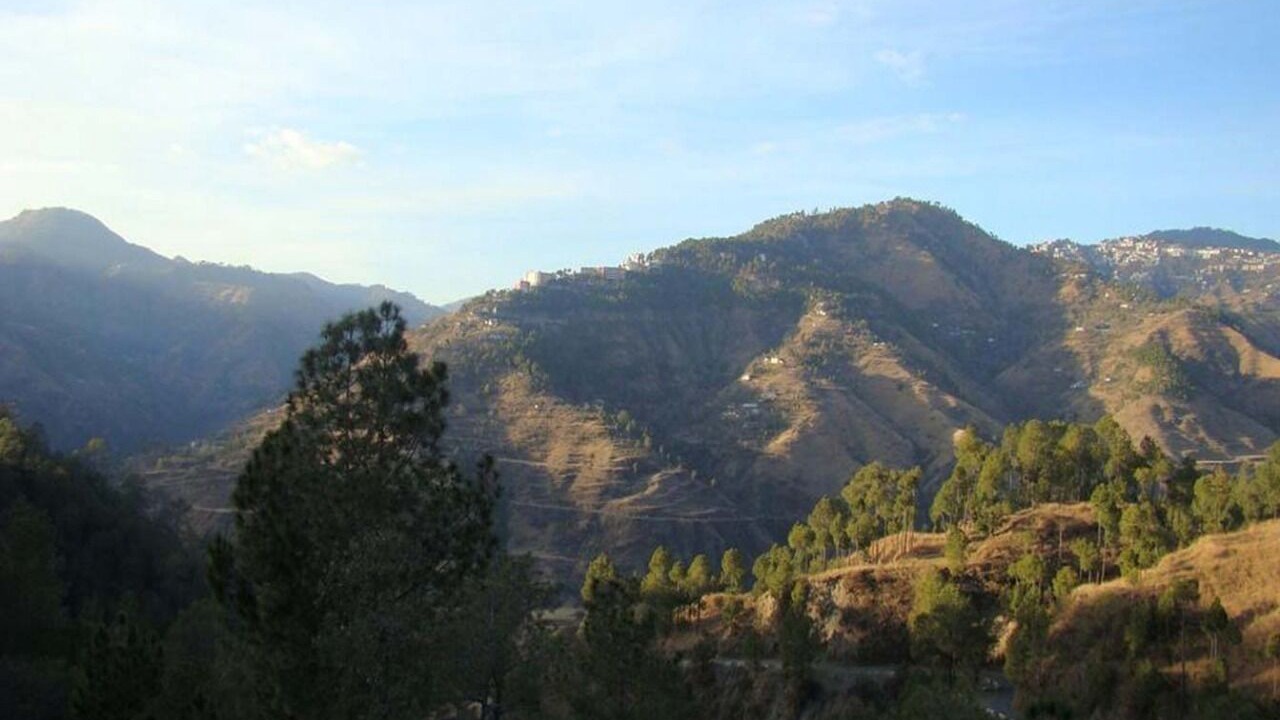 Photo of Outdoor in Junga