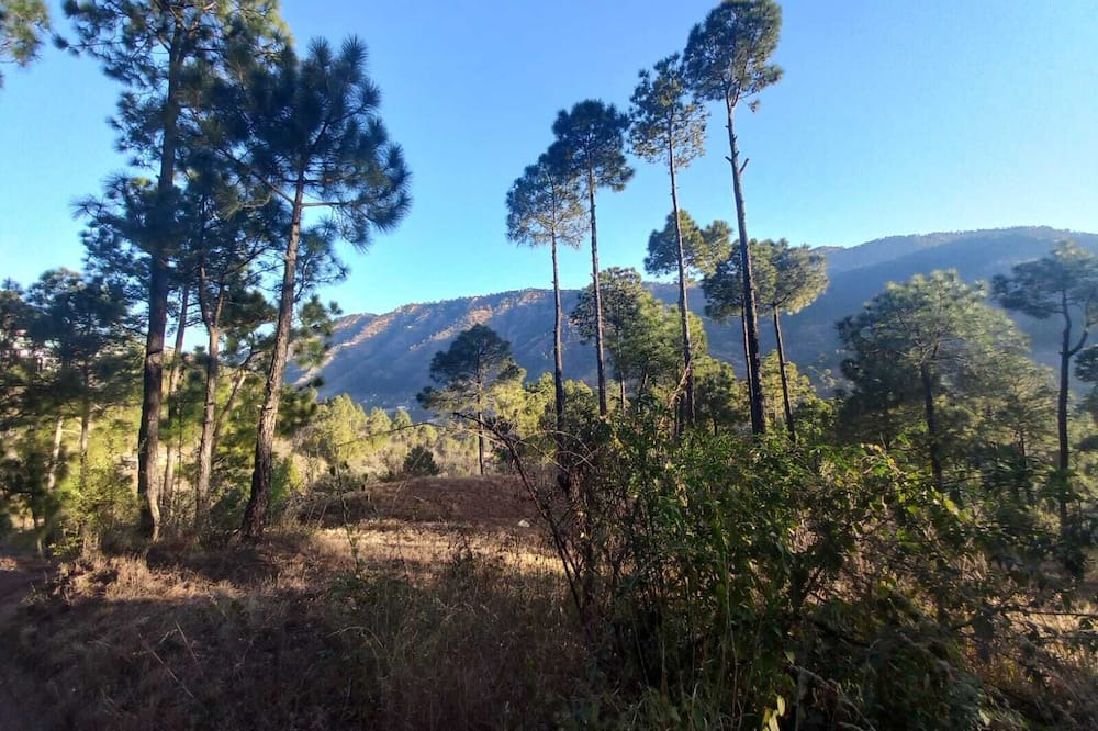 Photo of Outdoor in Dharampur