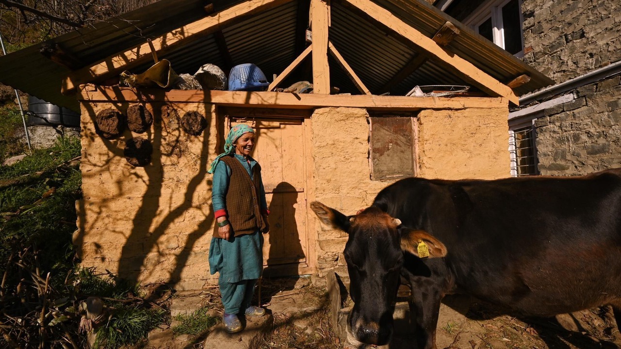 Photo of Others in Manali