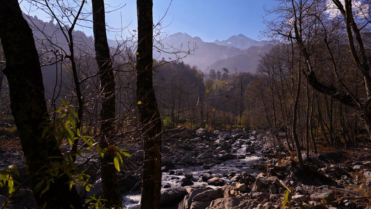 Photo of Outdoor in Manali
