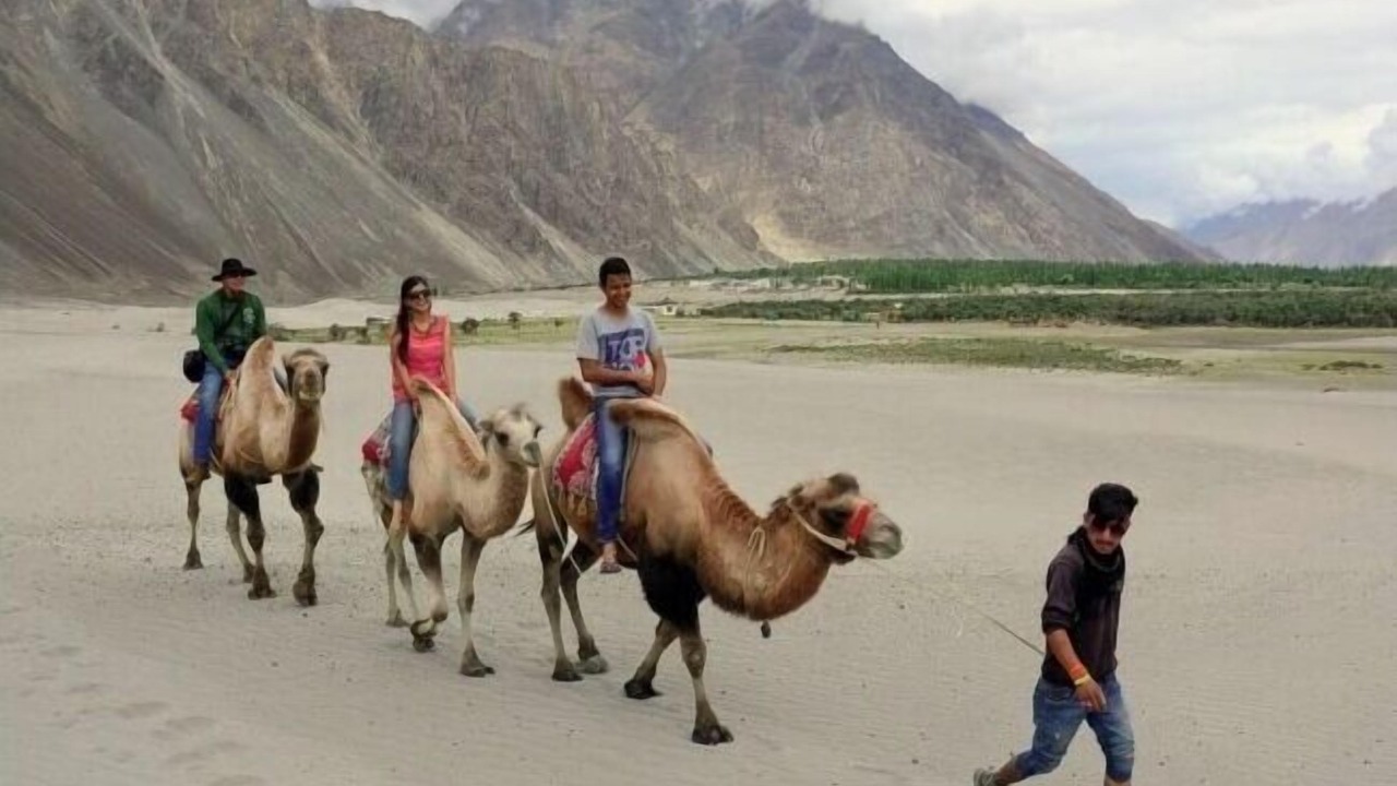 Photo of Others in Hundur
