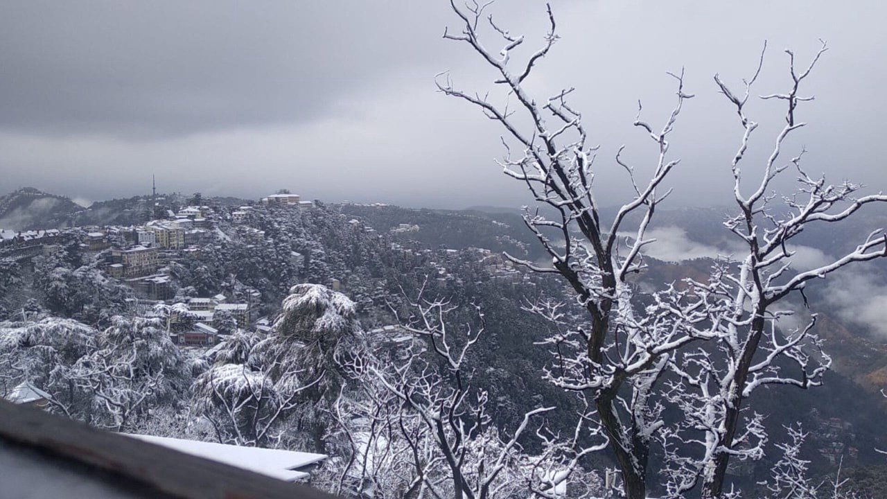 Photo of Patio Balcony in Shimla