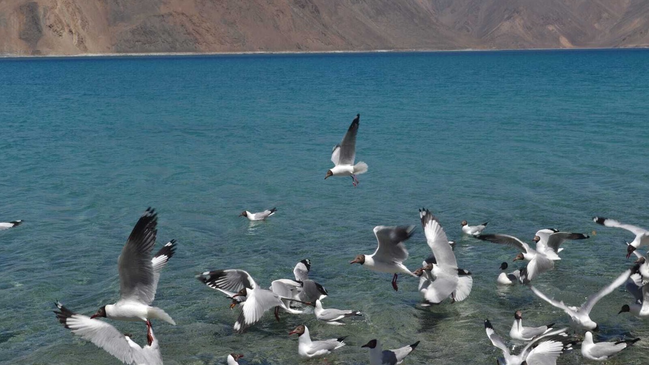 Photo of Outdoor in Leh