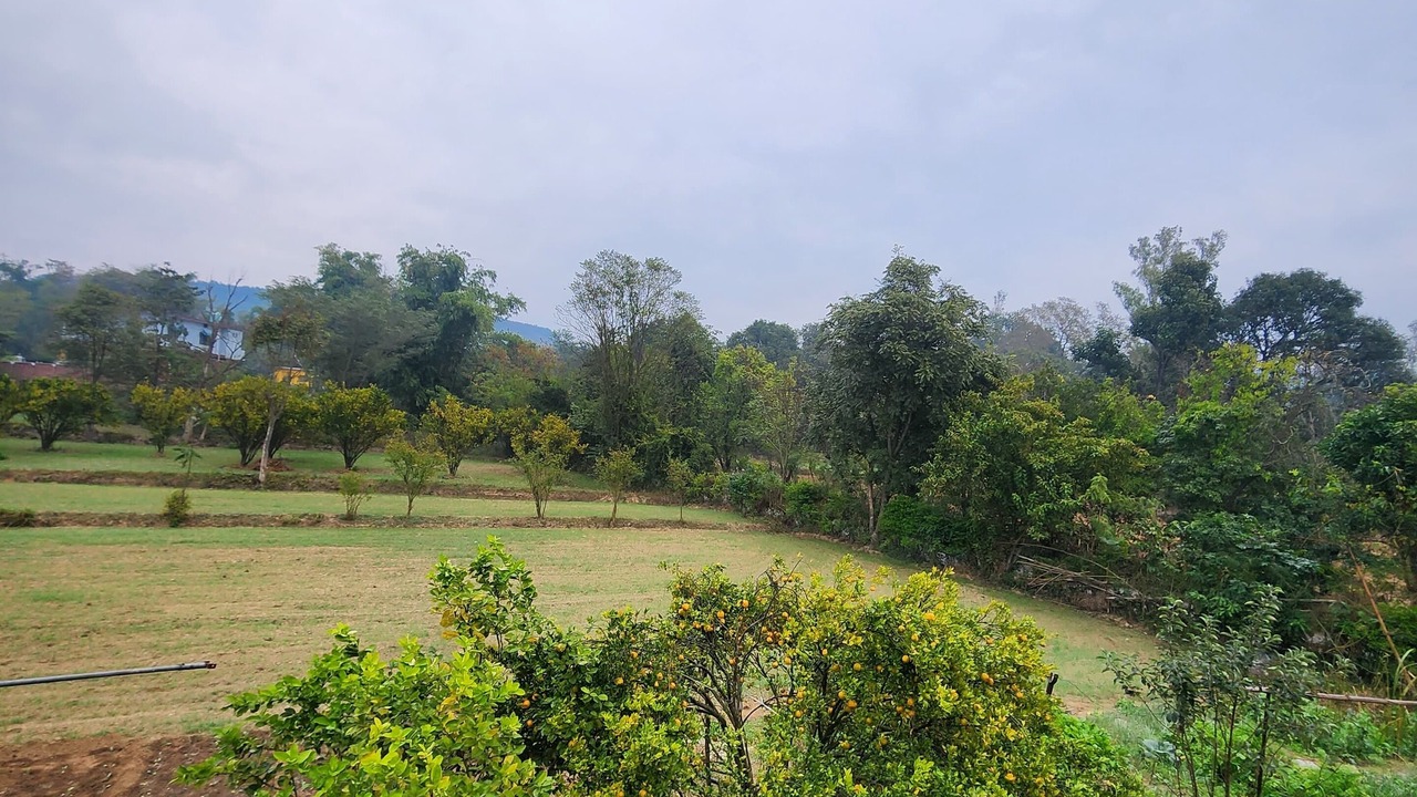 Photo of Outdoor in Baroh