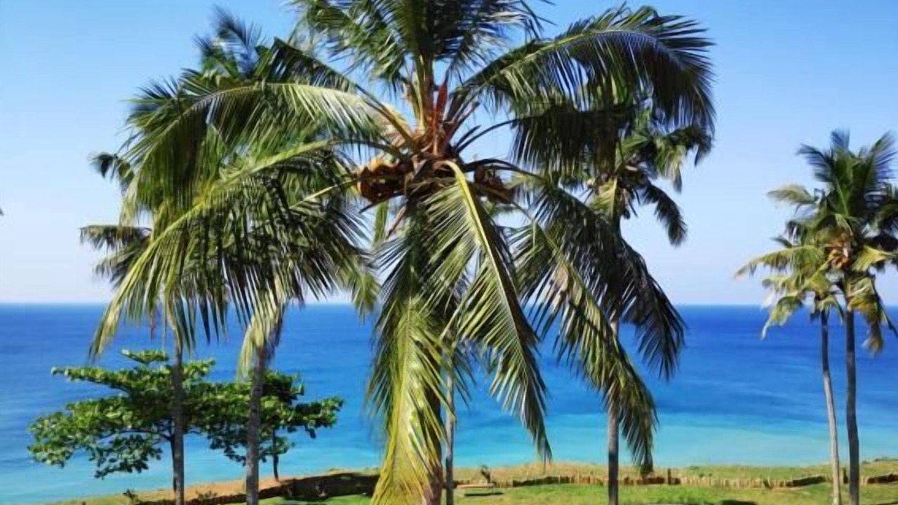 Photo of Others in Varkala