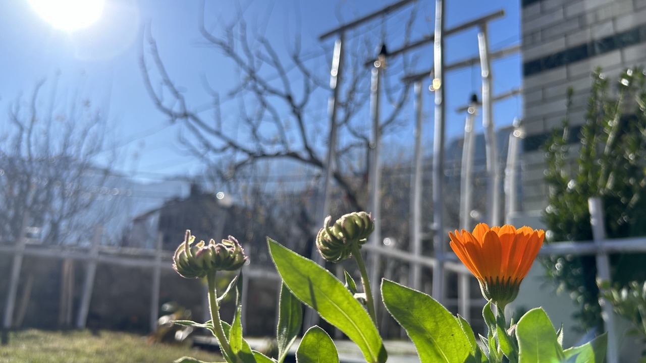 Photo of Outdoor in Burwa