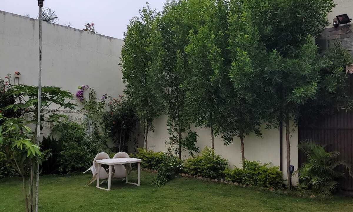 Photo of Outdoor in Udaipur