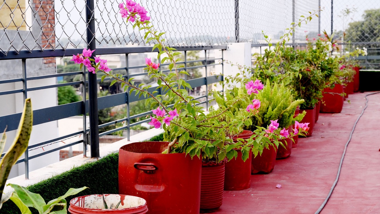 Photo of Patio Balcony in Patiala
