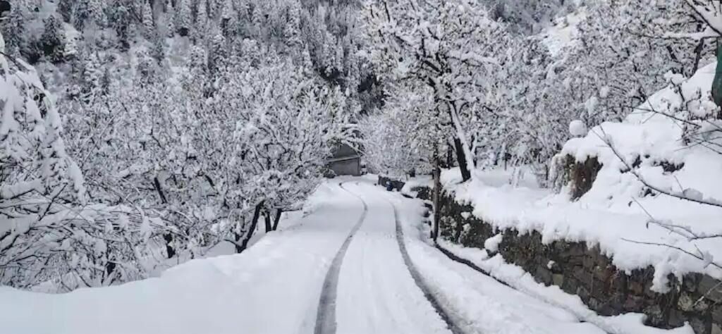 Photo of Others in Manali