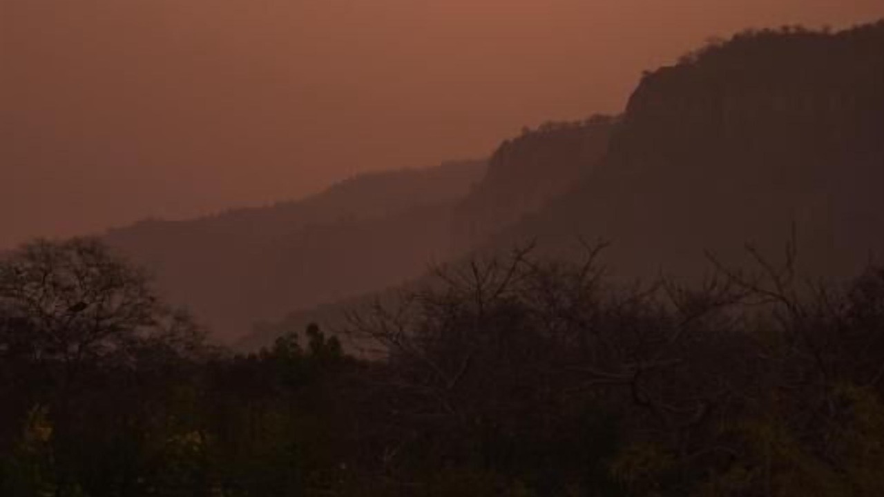Photo of Others in Sawai Madhopur