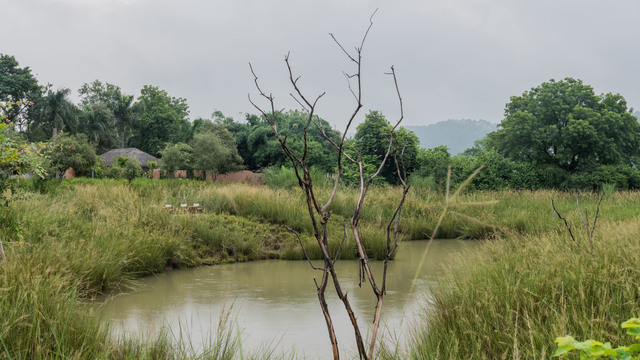 Photo of Outdoor in Sawai Madhopur