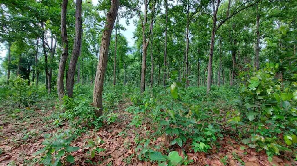 Photo of Outdoor in Baihar