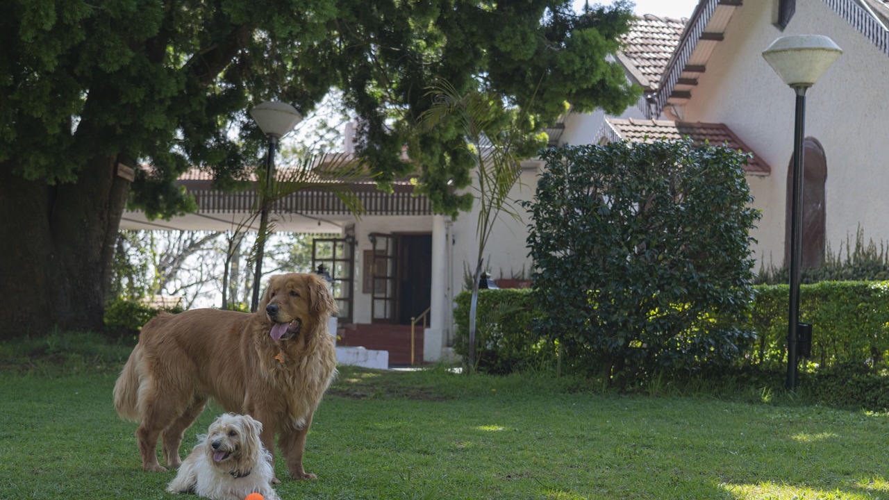 Photo of Others in Coonoor