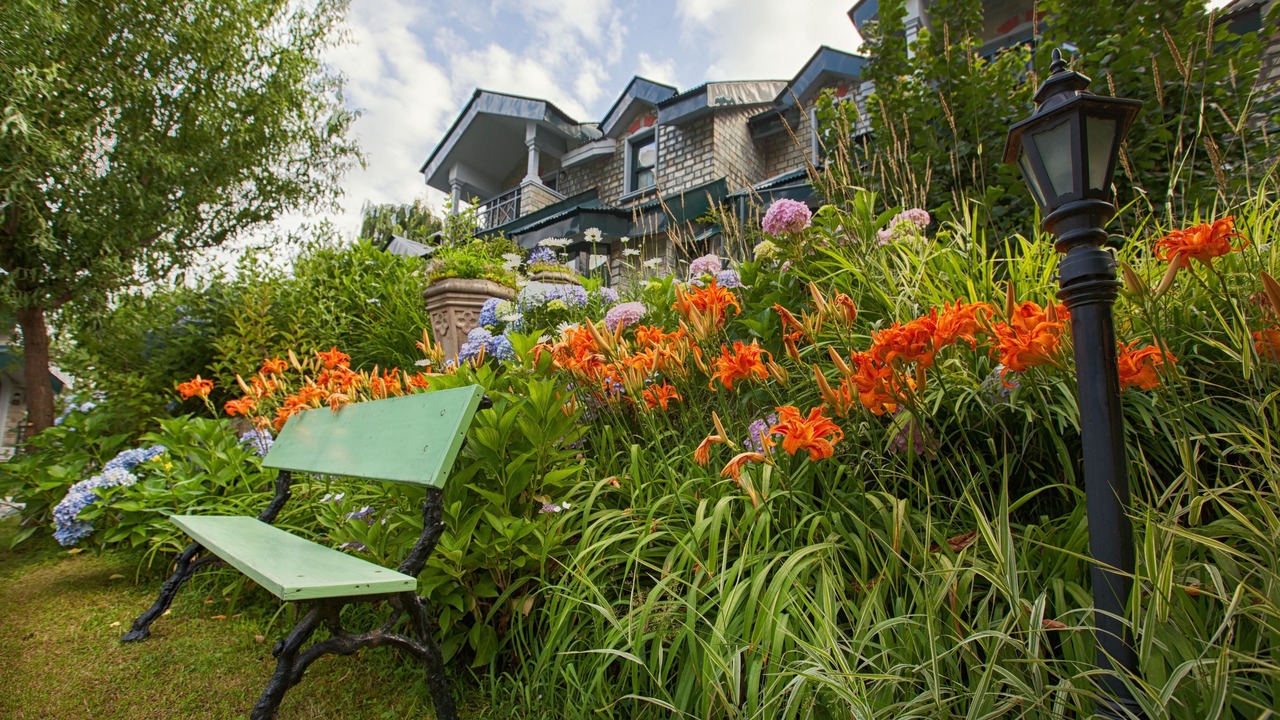 Photo of Outdoor in Manali