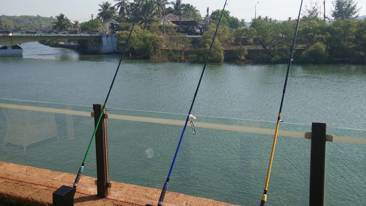 Photo of Others in Baga