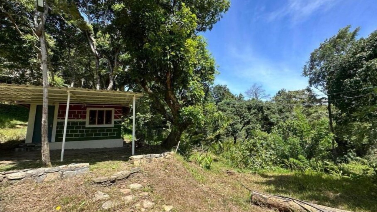 Photo of Outdoor in Mannarkkad