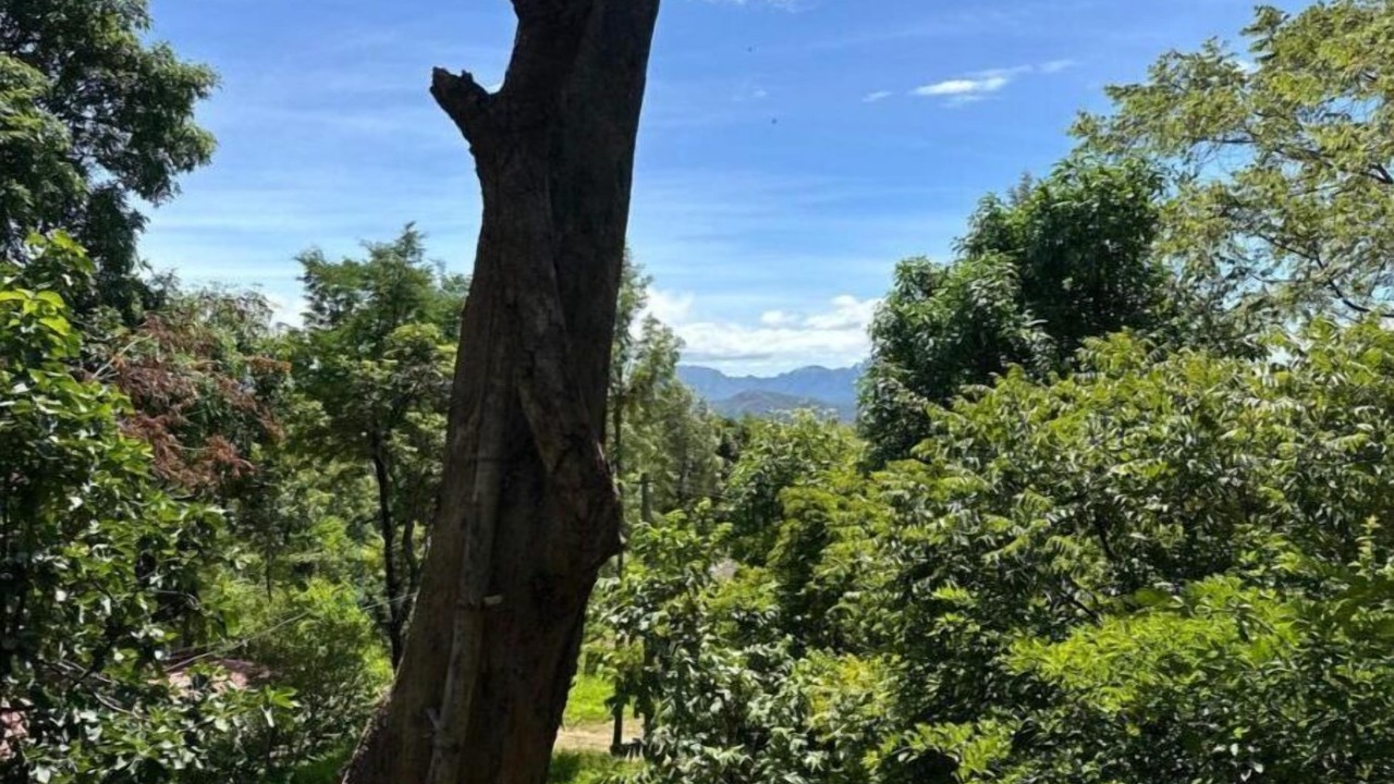 Photo of Outdoor in Mannarkkad