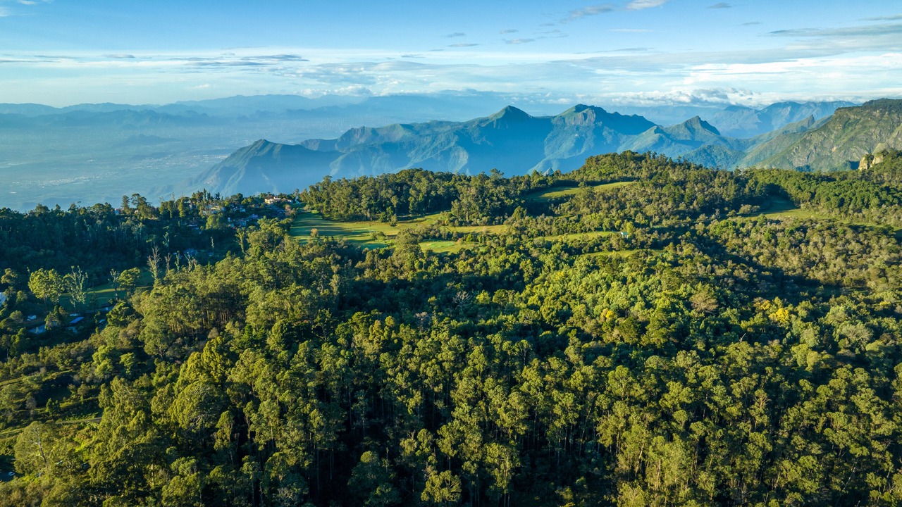 Photo of Outdoor in Kodaikanal