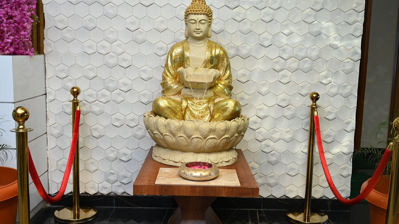 Photo of Others in Chachyot
