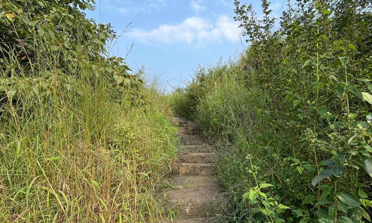 Photo of Outdoor in Ambavna