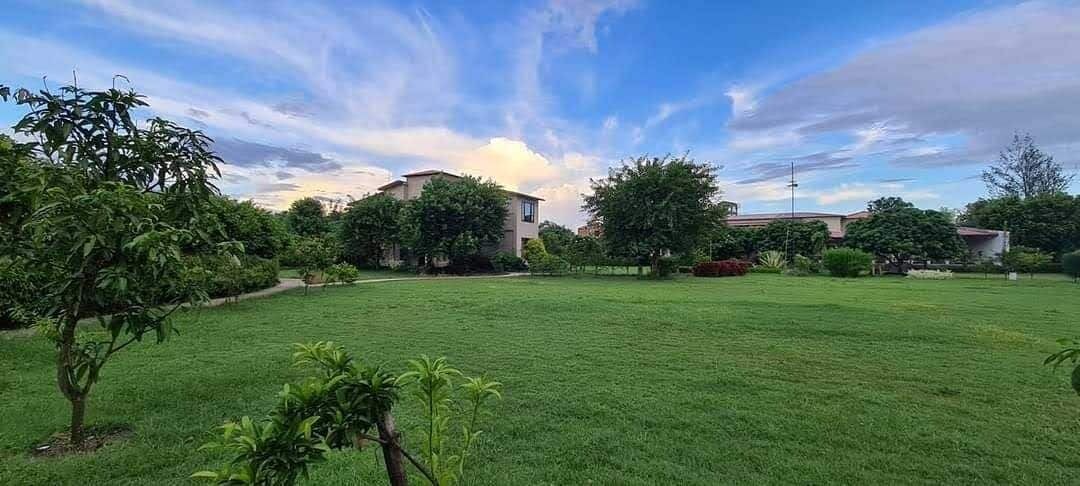 Photo of Outdoor in Ramnagar