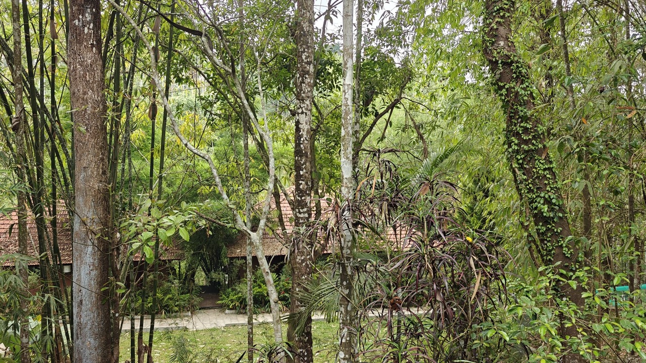 Photo of Outdoor in Sulthan Bathery