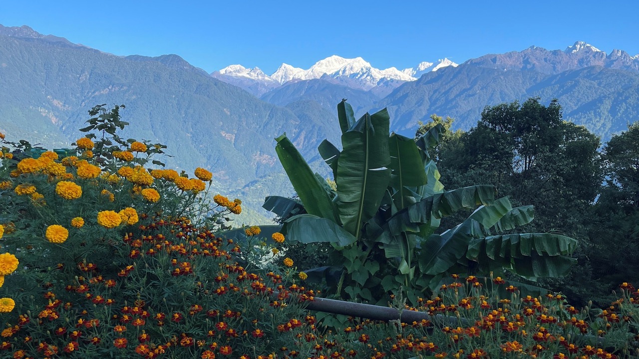 Photo of Outdoor in Pelling