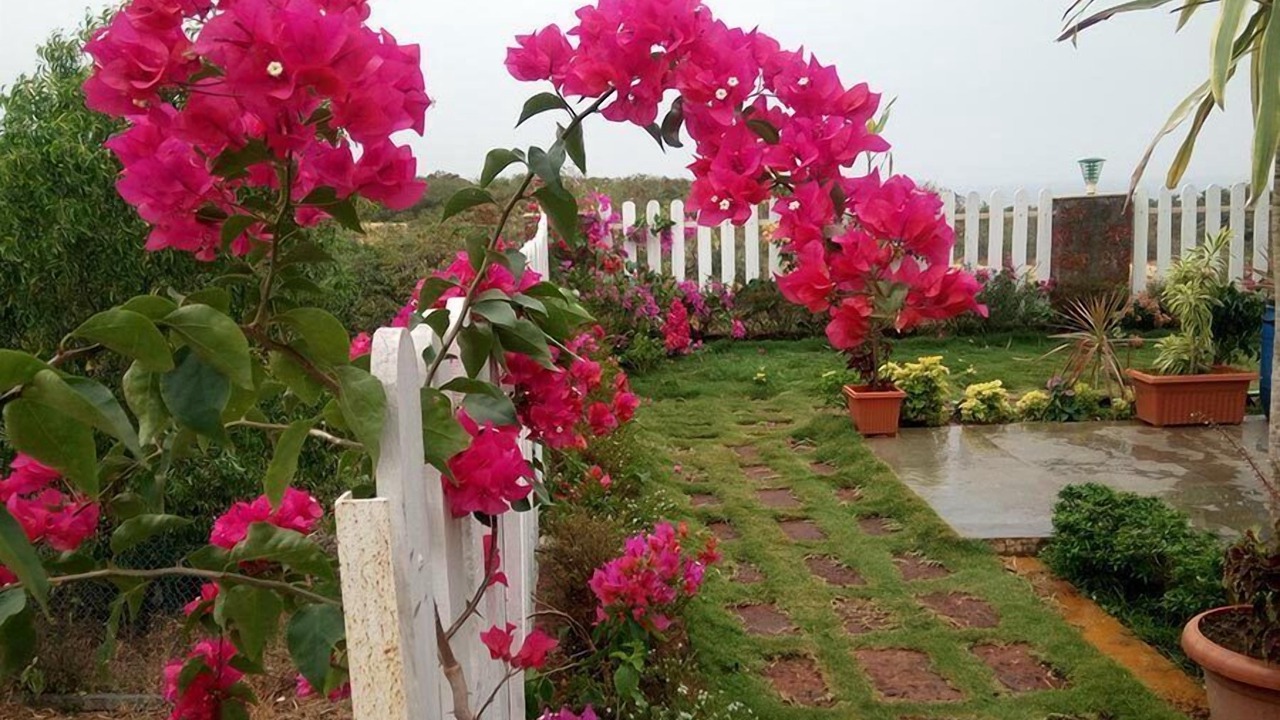 Photo of Outdoor in Anjanvel