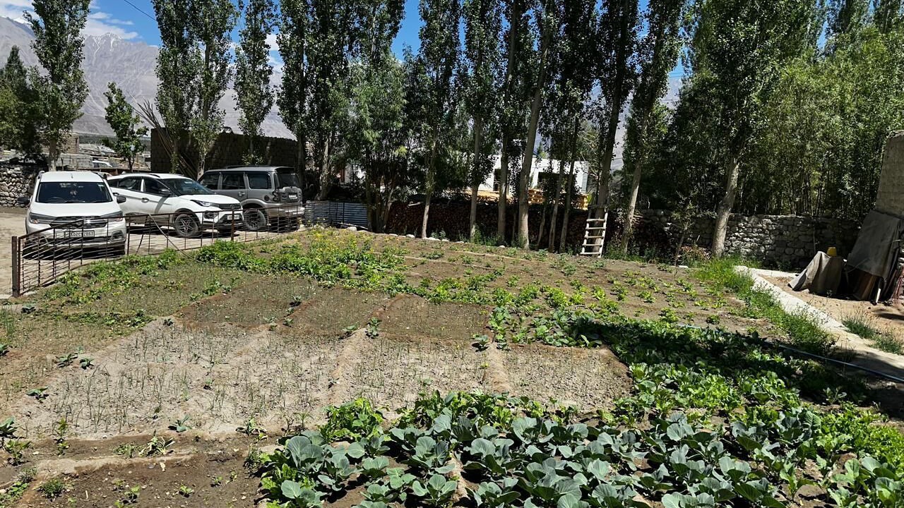 Photo of Outdoor in Hunder