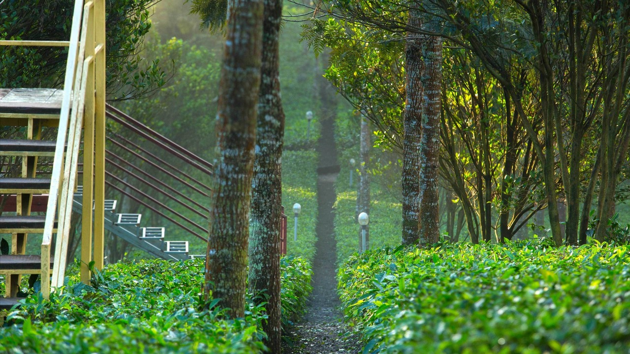 Photo of Outdoor in Udumbanchola